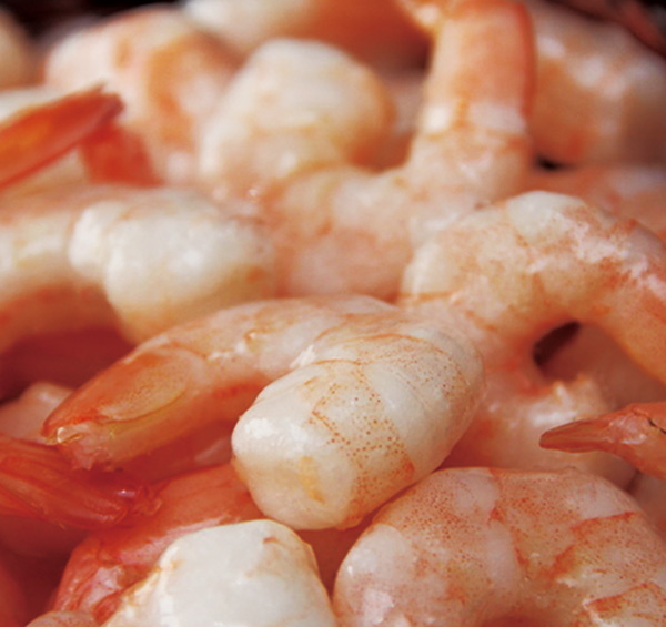 南美白對蝦仁